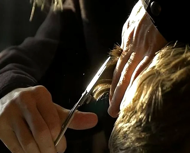 青春追梦的30条励志短句：向阳而生，逆风翻盘